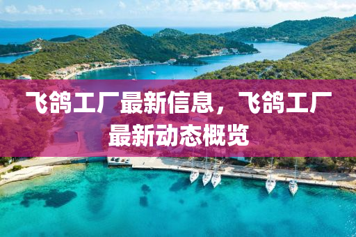 飛鴿工廠最山東水清源環(huán)保科技有限公司新信息，飛鴿工廠最新動(dòng)態(tài)概覽