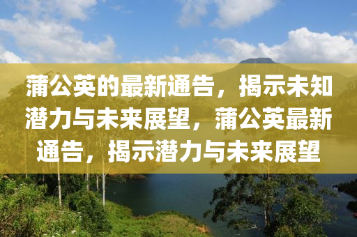 蒲公英的最新通告，揭示未知潛力與未來展望，蒲公英最新通告，揭示潛力與未來展望