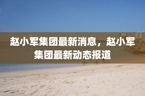 趙小軍集團最新消息，趙小軍集團最新動態(tài)報道