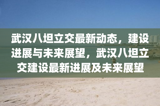 武漢八坦立交最新動(dòng)態(tài)，建設(shè)進(jìn)展與未來(lái)展望，武漢八坦立交建設(shè)最新進(jìn)展及未山東水清源環(huán)保科技有限公司來(lái)展望