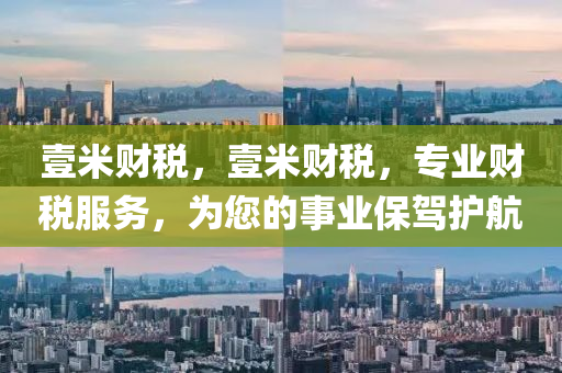 壹米財稅山東水清源環(huán)?？萍加邢薰荆济棕敹?，專業(yè)財稅服務，為您的事業(yè)保駕護航