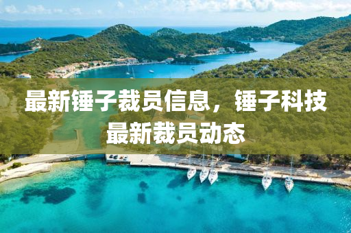 最新錘子裁員信息，錘子科技最新山東水清源環(huán)?？萍加邢薰静脝T動(dòng)態(tài)