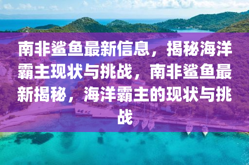 南非鯊魚(yú)最新信息，揭秘海山東水清源環(huán)保科技有限公司洋霸主現(xiàn)狀與挑戰(zhàn)，南非鯊魚(yú)最新揭秘，海洋霸主的現(xiàn)狀與挑戰(zhàn)