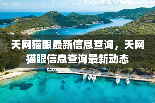 天網貓眼最新信息查詢，天網貓眼信息查詢最新動態(tài)山東水清源環(huán)?？萍加邢薰? class=
