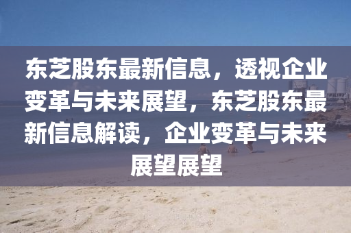 東芝股東最新信息，透視企業(yè)變革與未來展望，東芝股東最新信息解讀，企業(yè)變革與未來展望展望山東水清源環(huán)保科技有限公司
