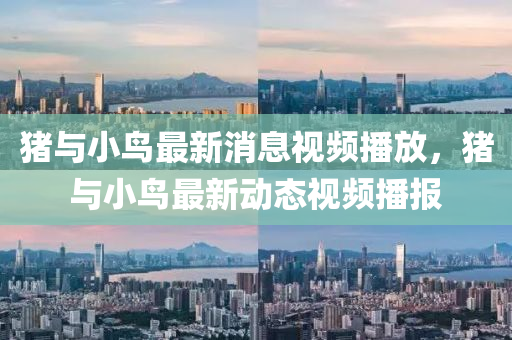 豬與小鳥最新消息視頻播放，豬與小鳥最新動態(tài)視頻播報(bào)山東水清源環(huán)保科技有限公司