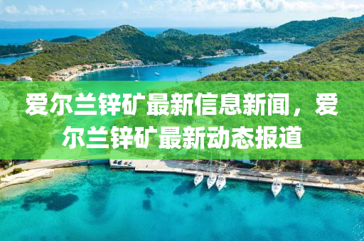 愛爾蘭鋅礦最新信息新聞，愛爾蘭鋅礦最新動態(tài)報道山東水清源環(huán)?？萍加邢薰? class=