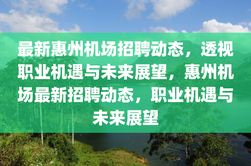 最新惠州機場招聘動態(tài)，透視職業(yè)機遇與未來展望，惠州機場最新招聘動態(tài)，職業(yè)機遇與未來展望山東水清源環(huán)?？萍加邢薰? class=