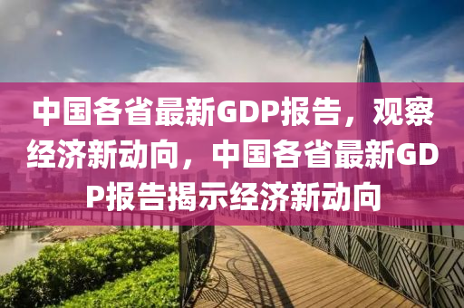 中國各省最新G山東水清源環(huán)?？萍加邢薰綝P報告，觀察經(jīng)濟新動向，中國各省最新GDP報告揭示經(jīng)濟新動向
