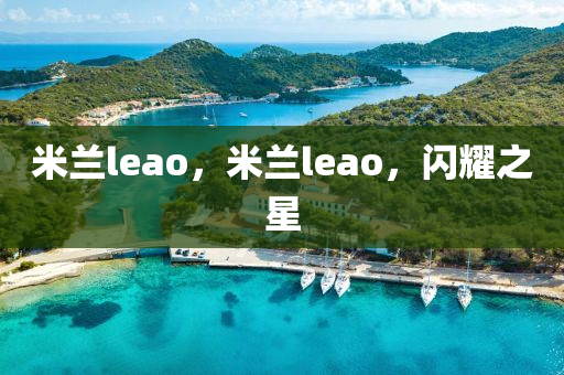 米蘭leao，山東水清源環(huán)?？萍加邢薰久滋mleao，閃耀之星