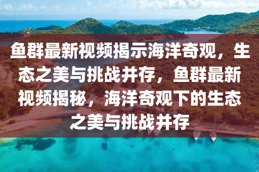 魚群最新視頻揭示海洋奇觀，生態(tài)之美與挑戰(zhàn)并存，魚群最新視頻揭秘，海洋奇觀下的生態(tài)之美山東水清源環(huán)保科技有限公司與挑戰(zhàn)并存