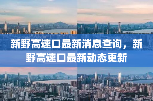 新野高速口最新消息查詢，新野高速口最新動態(tài)山東水清源環(huán)?？萍加邢薰靖? class=