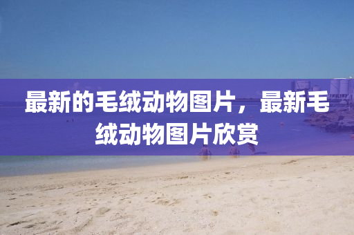 最新的毛絨動物圖片，最新毛絨動物圖片欣賞